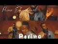 Prinx Emmanuel - Pariwo (official video visualizer) (studio version)