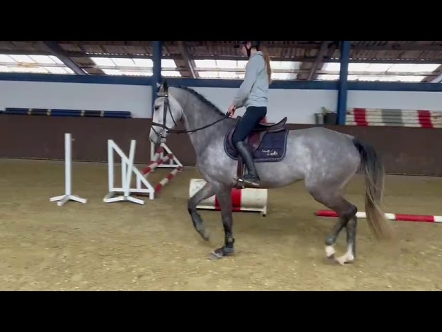 Lady Tender Ridden