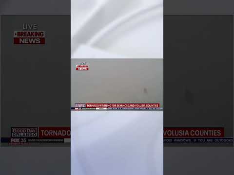 Video | WATCH: Tornado strikes Florida | LiveNOW from FOX