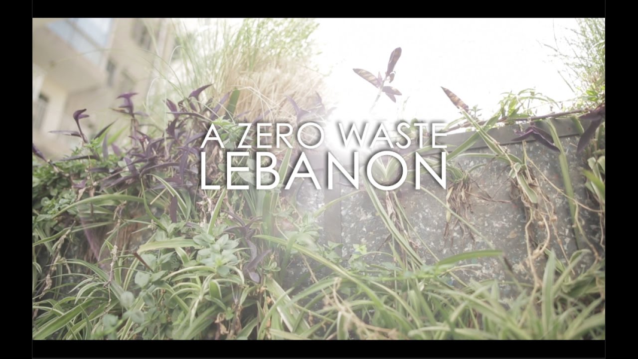 مشروع البيئة الخضراء thumbnail