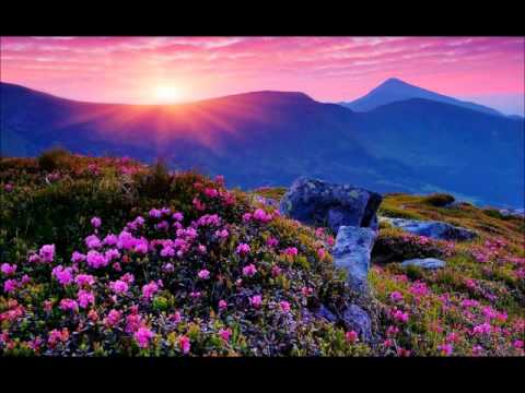 Kaashmeera sandhyakale konduporu -Neelasaari(Film 1976)