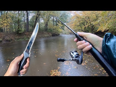 Catch My Own Food - Creek Fishing!! (Catch Clean Cook)