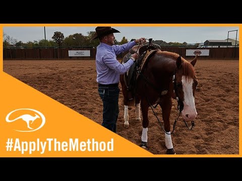 Training Tip: Correctly Saddling a Horse