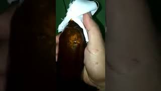 Download lagu Tuyul ketangkep dimasukin kedalam botol mp3 Download lagu Tuyul ketangkep dimasukin kedalam botol mp3