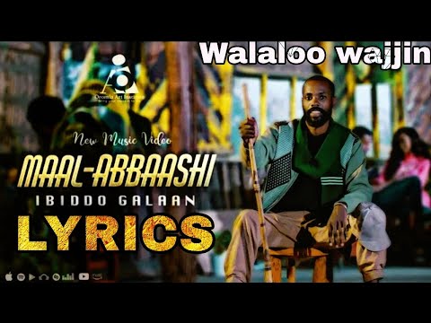 Ibiddo Galaan - Maal Abbaashi (Lyrics)