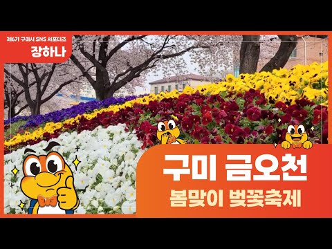 [구미SNS서포터즈]구미 금오천 봄맞이 벚꽃 축제