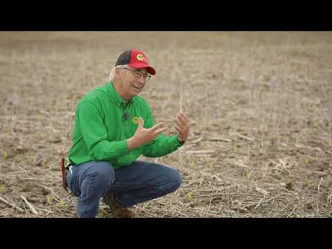 Marion Calmer on Managing Cornstalk Residue: the Smaller the Better