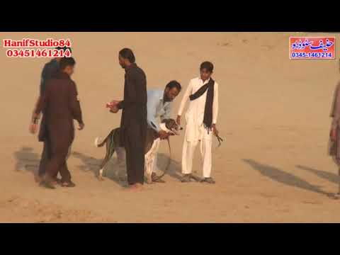 13 14 15 Nov 2021 (21to43)does round 1 biti manjar track race