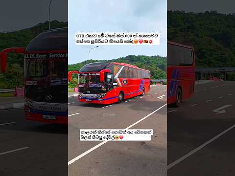 CTB එකට ගේන අලුත්බස් 600❤️🙏 #automobile #vehicles #bus #dhamrejini #trending #viralvideo #news #new