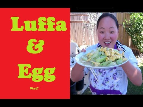 download lagu mp3 mp4 Chinese Loofah Recipe, download lagu Chinese Loofah Recipe gratis, unduh video klip Chinese Loofah Recipe