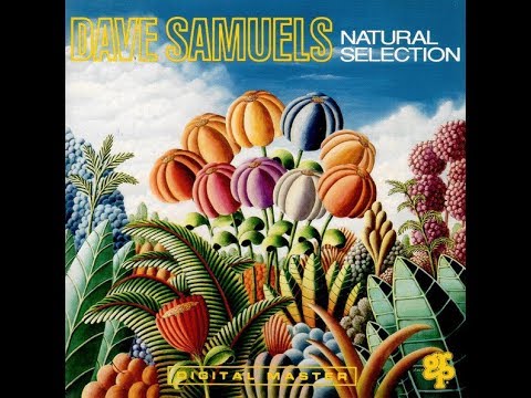 Dave Samuels:"Natural Selection"