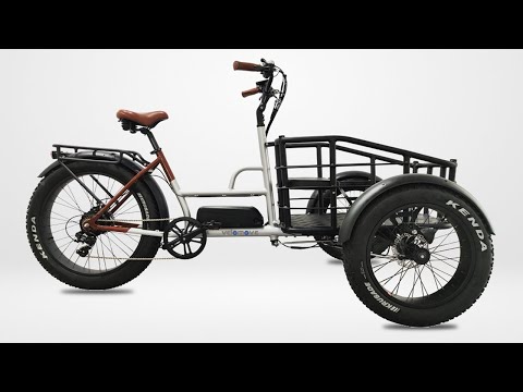 VMST4 Front loading electric cargo trike