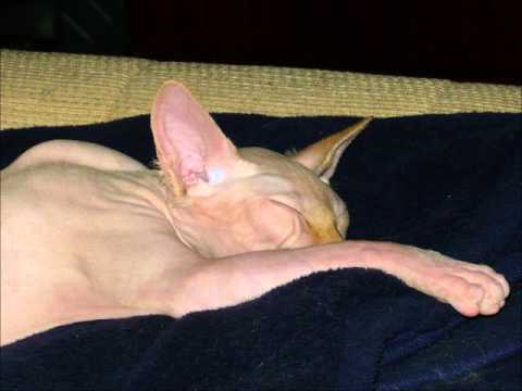 strašidýlko Emílek ♥