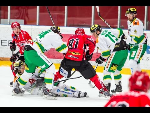SKY AHL: SIJ Acroni Jesenice : Alge Elastic Lustenau - 2:4