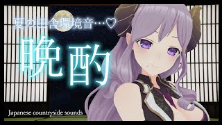 【晩酌】なんだか懐かしい気持ち。風鈴/夏の夜の音　Japanese countryside sounds【西園寺メアリ / ハニスト】のサムネイル