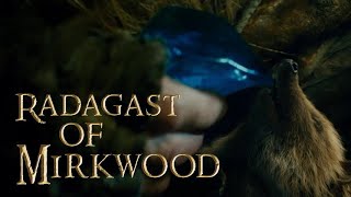 16 - Radagast of Mirkwood (Film Version)