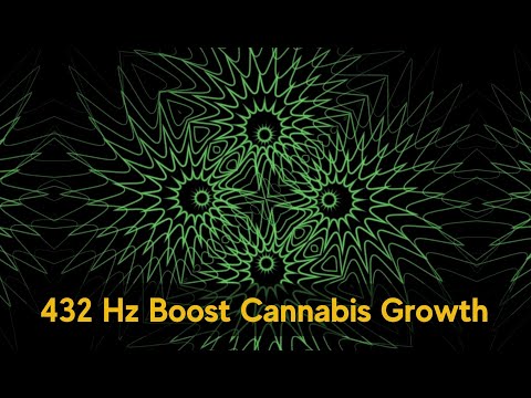 432 Hz Music for Cannabis Growth 🌱 Maximize Yield & Boost Flowering Naturally!