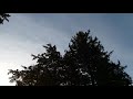 Groundhog Day in Iowa.. Cardinal singing, Sunshine & of course, chemtrails...