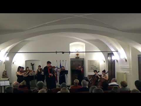 Timotej Kosovinc - For Leo (Nikola Pajanović & Camerata Laibach) - LIVE