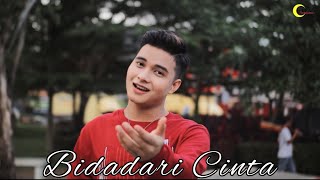 Download lagu Bidadari Cinta - Adibal || Cover by Erpan LIDA 2020 mp3
