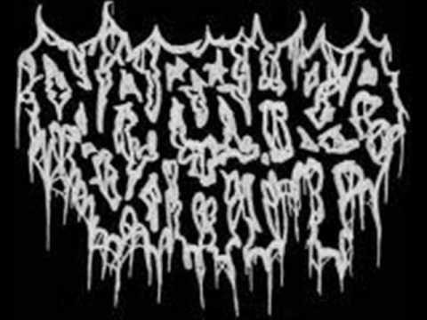 The Ultimate Brutal Death Metal/Goregrind/Porngrind Compilation Part 13