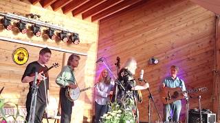 The David Grisman Bluegrass Experience "I'm Rolling On"