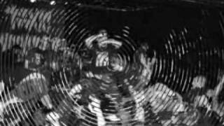 toxci narcotic politics