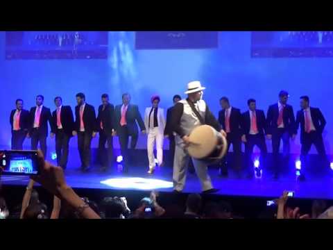 Amigos do Dabke | Mercado Persa 2016 | dança do ventre | belly dance