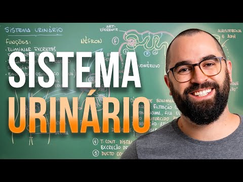 Sistema Excretor (URINÁRIO) - Aula 30 - Módulo 7: Fisiologia Humana