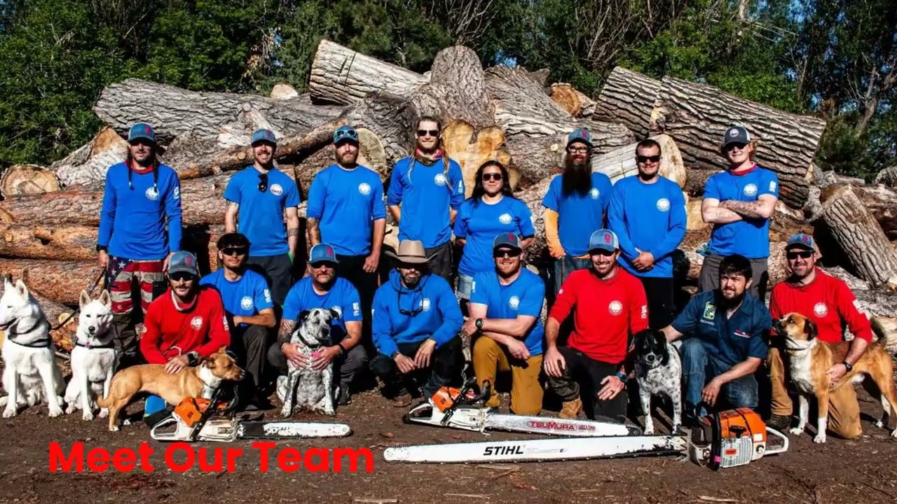 Patriot Tree Company INC. : Tree Services in Boulder, CO