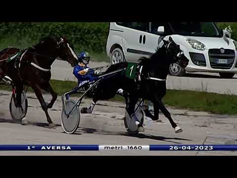 Aversa trotto 26 Aprile 2023 - 1° Corsa
