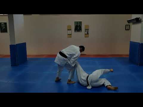 Aikido Yokomen uchi koshi nage