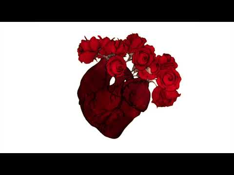 $MOK3RSI (Estro & Bartko) - OCB