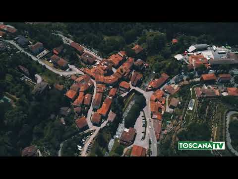 2021-02-05 FIRENZE - MORTO PAOLO BARTOLOZZI, EX EURODEPUTATO PER FI