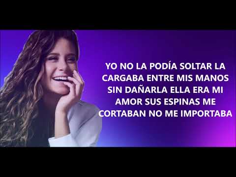 Cami   querida rosa  letra