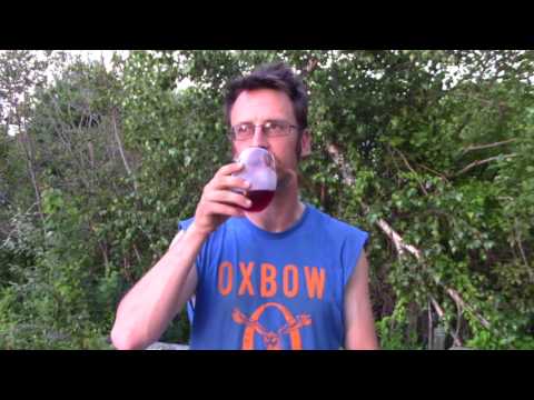 download lagu mp3 mp4 Cornelissen Beer, download mp3 Cornelissen Beer free downloadn, video klip Cornelissen Beer