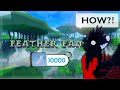 HOW To Get 10 000 Feathers In FEATHER FAMILY ALL WAYS