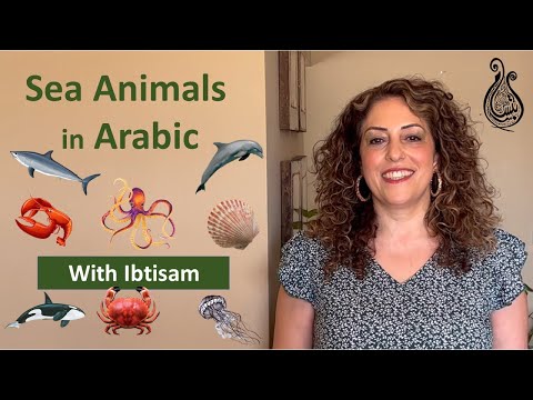 Learn Sea Animals in Arabic - Lesson 55   الحيوانات البحرية