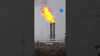 COP29 : Ouverture de la conférence en Azerbaïdjan
