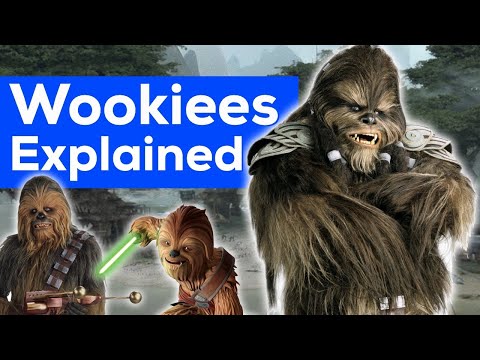 Wookiees explained  (canon)