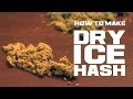 Dry Ice Hash THC Extraction with CO2 Marijuana ...