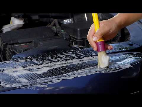 Limpia tu vano motor — paso a paso sencillo