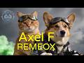 Crazy Cat Axel F MEOW REMIX
