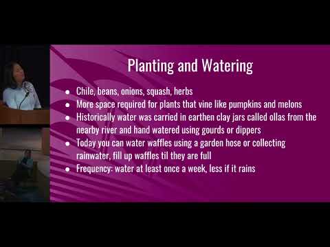 Living Earth 2023: Zuni Waffle Gardens and Contemporary Practices