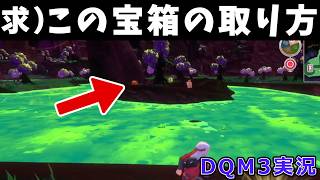 季節の変化でいけるか…？【DQM3実況#06】