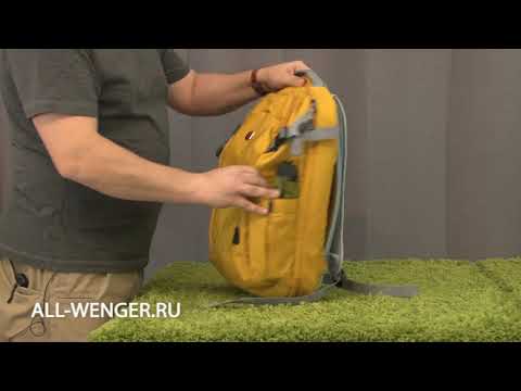 swissgear hybrid backpack