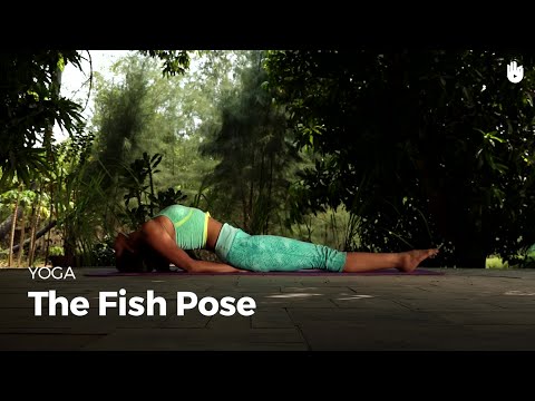 Learn the Fish Pose - Matsyasana | Yoga