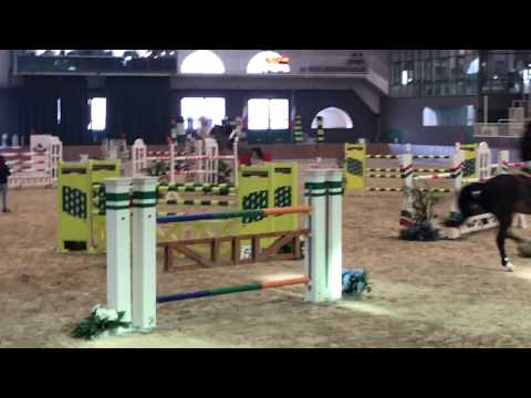 Lasco van de Ganzenakker - by Ogano Sitte