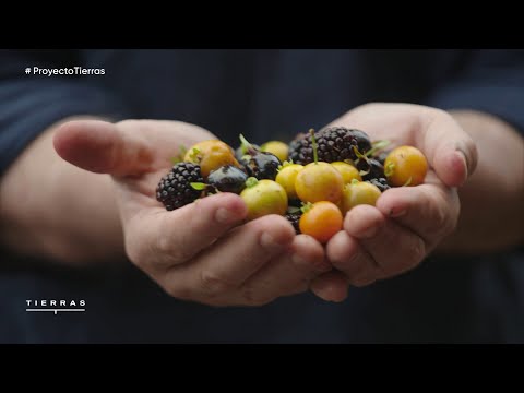 Episodio 05: Misiones | PROYECTO TIERRAS 4ta temporada