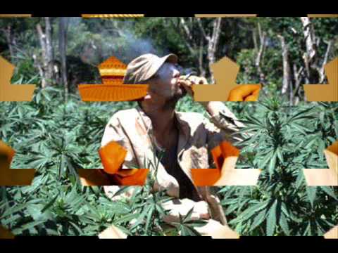 Intensions (ft. Rebellion The Recaller) lyrics